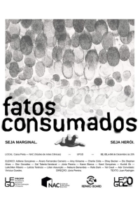 Cartaz do Espetáculo Fatos Consumados